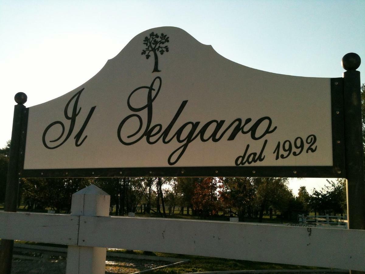 Il Selgaro Agriturismo Chirignago-Zelarino Exterior photo